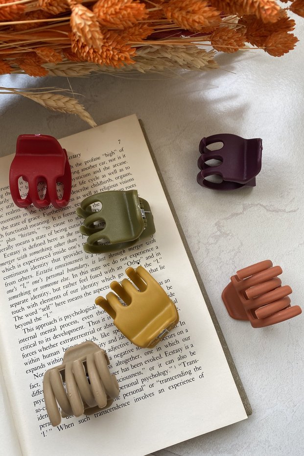 Women's 6 Pieces Three Tooth Latch Buckle Medium Size Autumn Colors