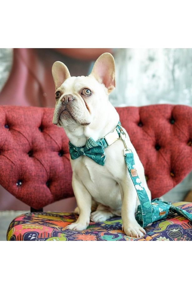 Orman Temalı Köpek Gezdirme Kayışı Köpek Gezdirme Tasması (GENİŞLİK SEÇENEKLİ) - 4