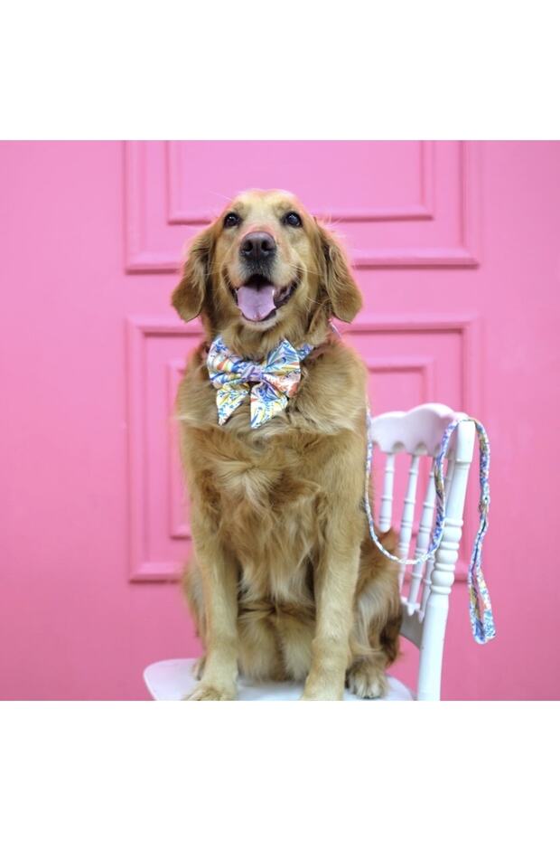 Çiçek Desenli Köpek Gezdirme Kayışı Köpek Gezdirme Tasması (GENİŞLİK SEÇENEKLİ) - 3