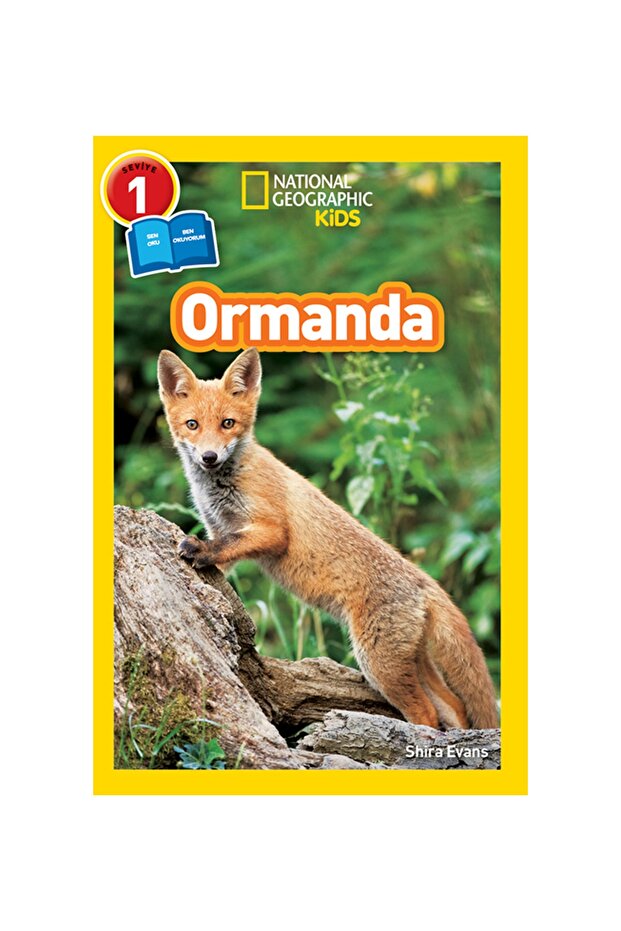 Kitap Ormanda - 1