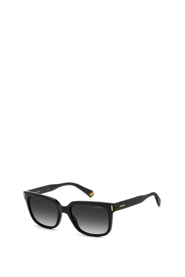 Pld 6191/S Unisex Sunglasses