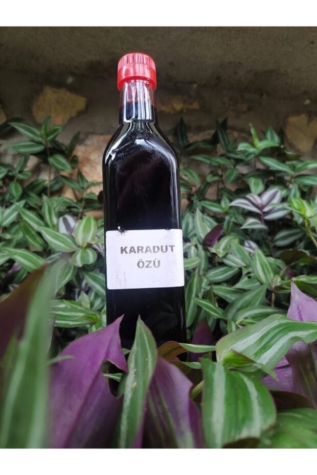 Karadut Özü 700 gr - 1