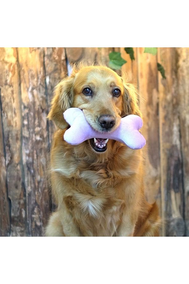 Lila Köpek Oyuncak Kemik, Kemik Oyuncak, Köpek Oyuncağı - 3