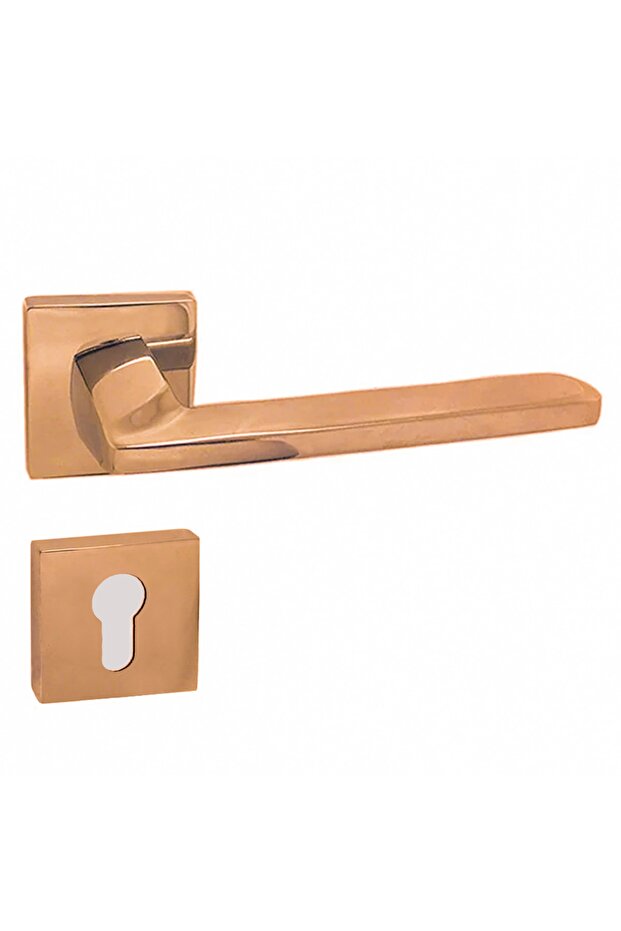 Doğanlar Radya Albirifin Rozetli Yale Kapı Kolu - 1