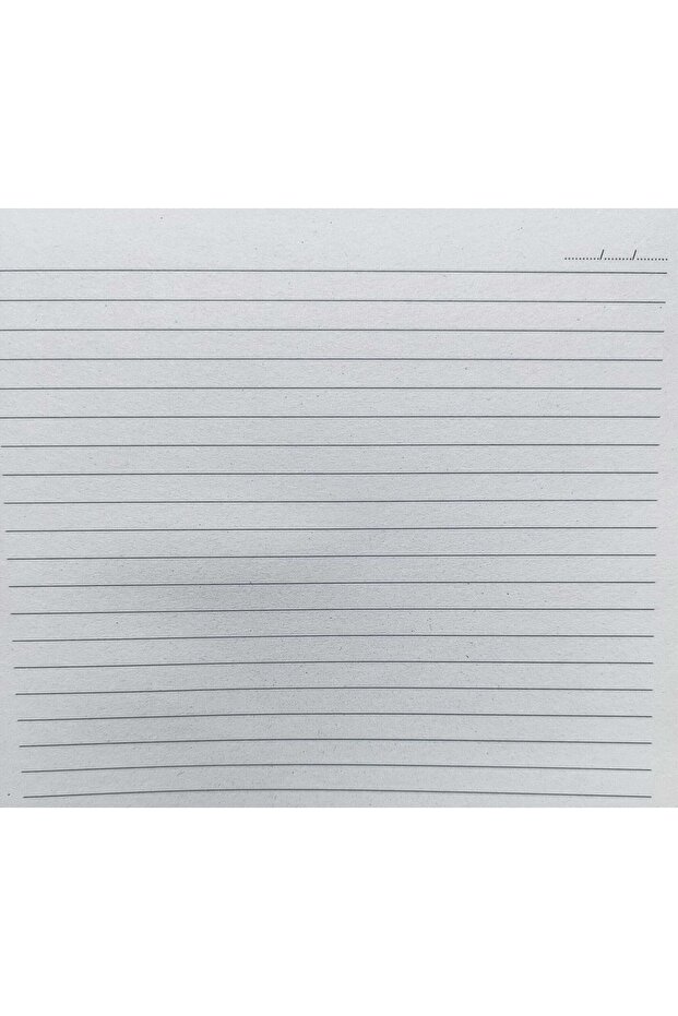 Notebook Spiraled Lined Notebook Color Notes - 4