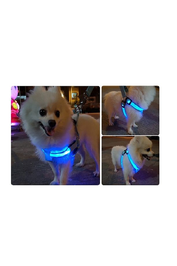 Led Işıklı Kedi Köpek Göğüs Tasması Küçük Irk Harness Air Mash Evcil Hayvan Ayarlanabilir Tasma - 1