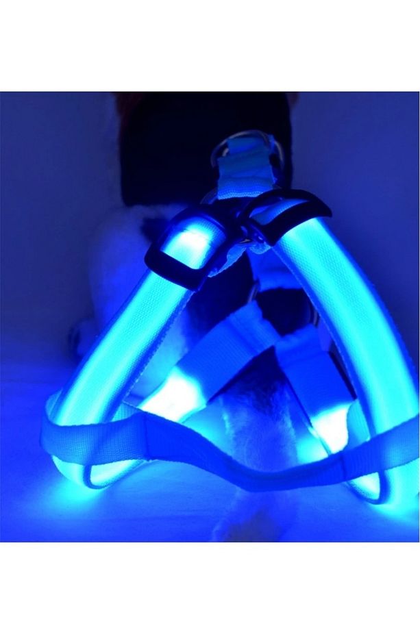 Led Işıklı Kedi Köpek Göğüs Tasması Küçük Irk Harness Air Mash Evcil Hayvan Ayarlanabilir Tasma - 7