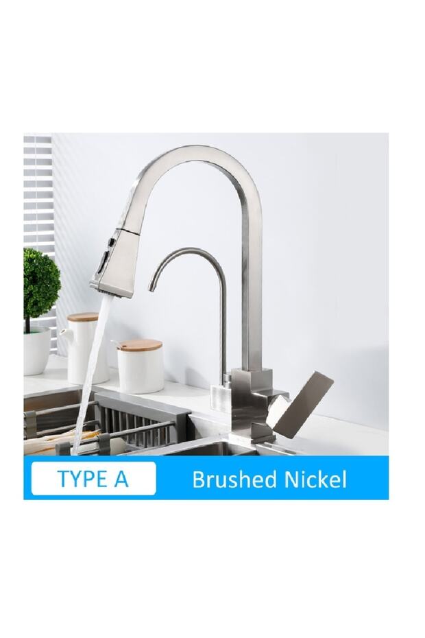 Kitchen Sink Faucet Dual Flow New Bass Check Water Purification Spout with Fountain Nickel Imported