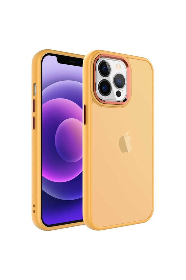 Apple iPhone 13 Pro Max Case Frosted Transparent Metal Frame May Cover