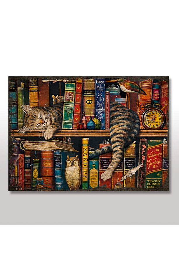 35cmX50cm Ahşap Tablo Kitaplık Baykuş Kedi Görseli - 1