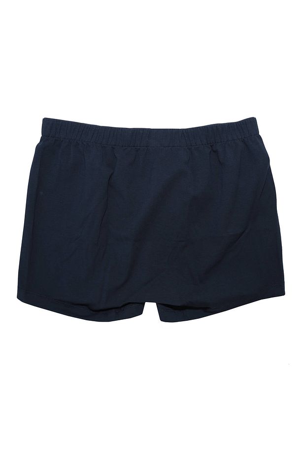 The Don Penye Boxer - TDNPNY002 - 2