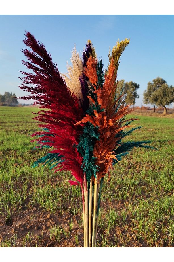 Kuru Çiçek Şoklanmış Pampas - 1