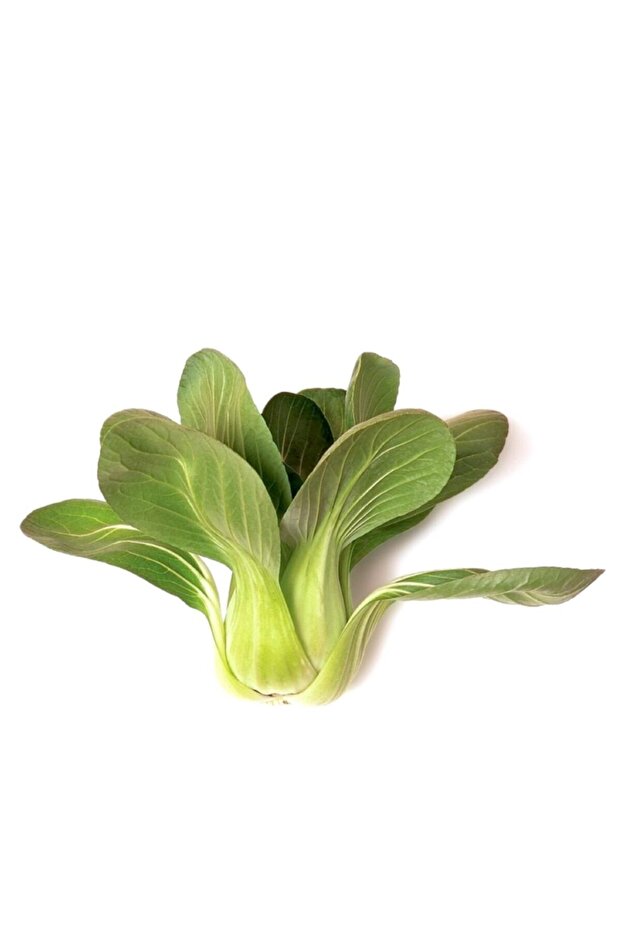 Pakçoy (pakchoy) - 1