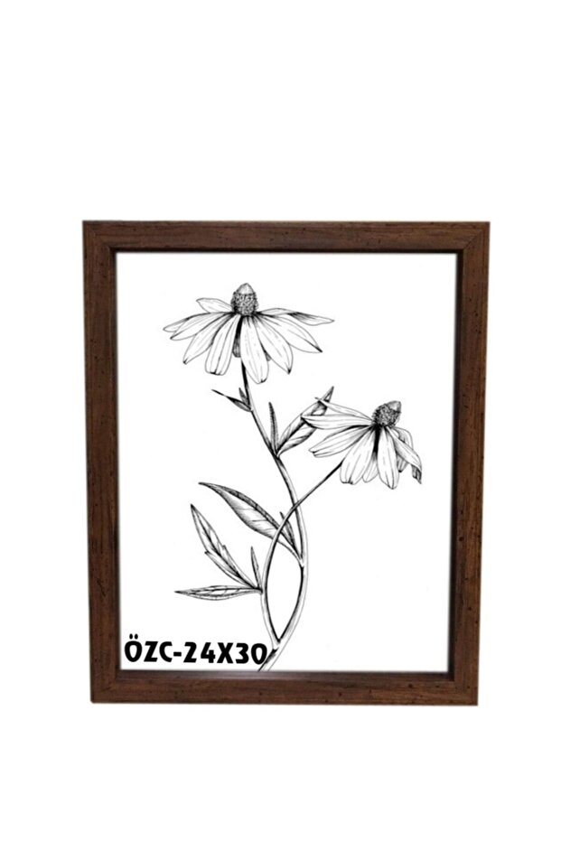 هدية إطار الديكور 24x30 إطار الصورة