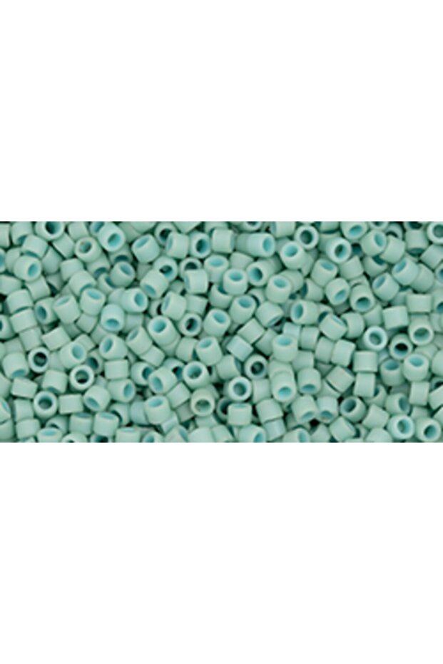 Japanese Glass Bead Treasure 11/0 Tt-1612F