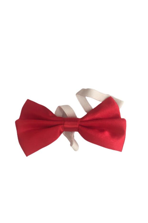 Boy's Red Bow Tie