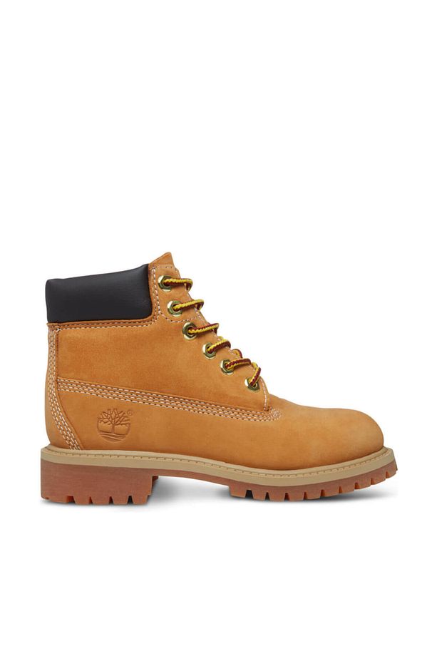 6 In Premium WP Boot - 1