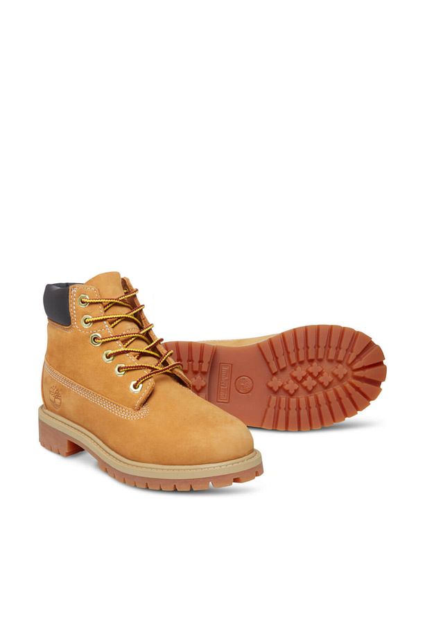 6 In Premium WP Boot - 3