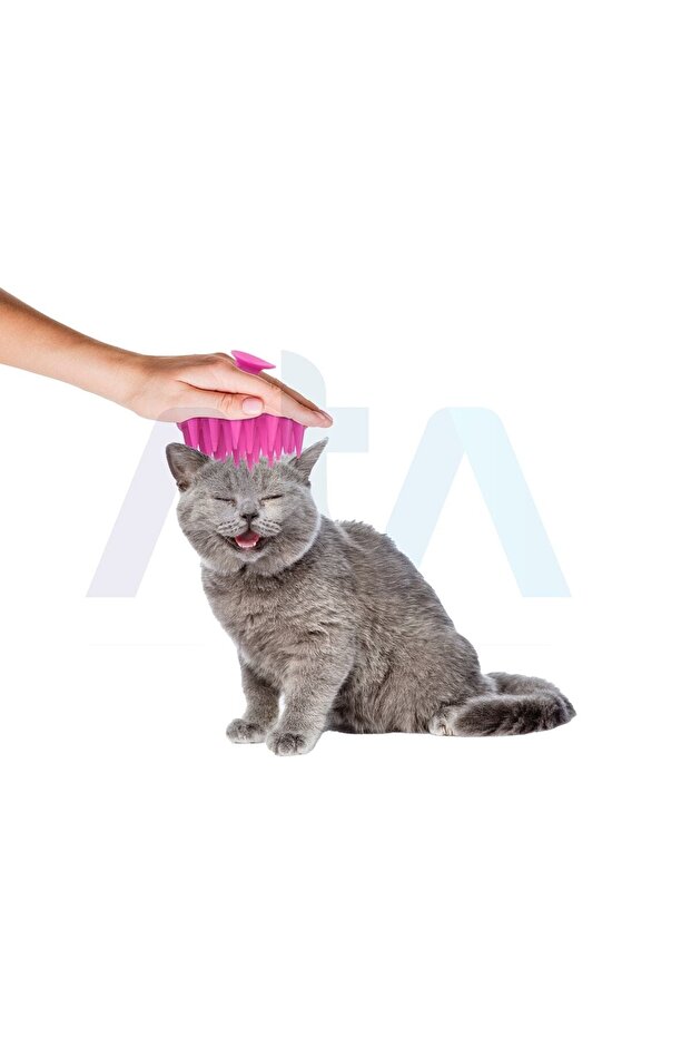 Soft Silicone Tip Cat Dog Scratching Washing Brush Comb with Suction Cup