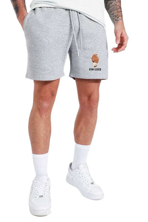 Regular Fit Gri Baskılı Şort - 2