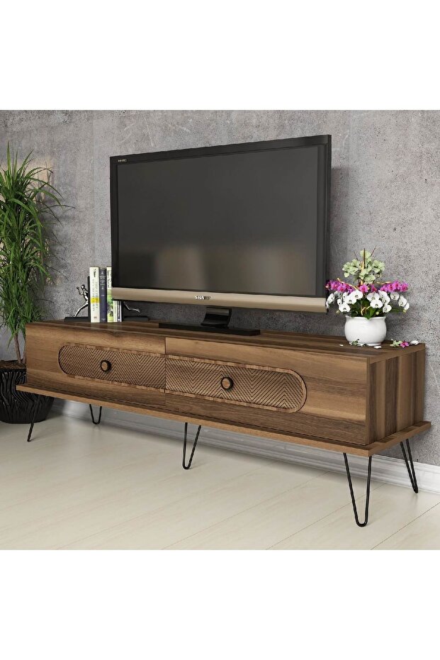 Ekol Tv Ünitesi - 1