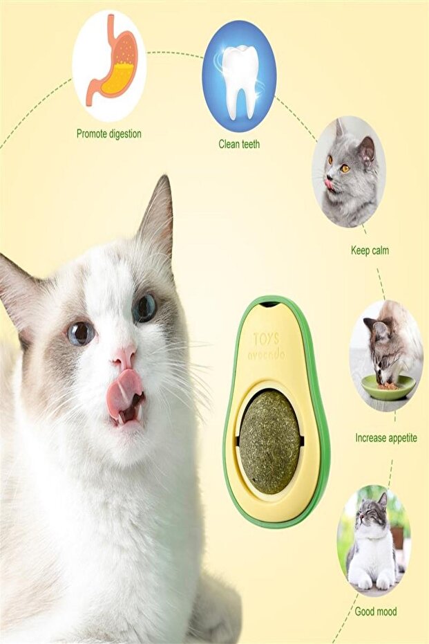Avocado Shaped Adhesive Cat Grass Avocado Catnip 360 Degree Rotating Catnip Cat Toy - 3