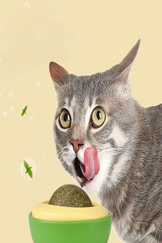 Avocado Shaped Adhesive Cat Grass Avocado Catnip 360 Degree Rotating Catnip Cat Toy - 6