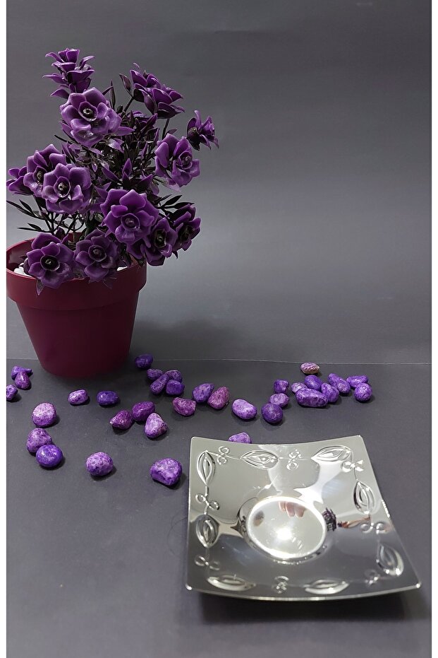 Çelik Bade Çay Tabağı -sade - 3