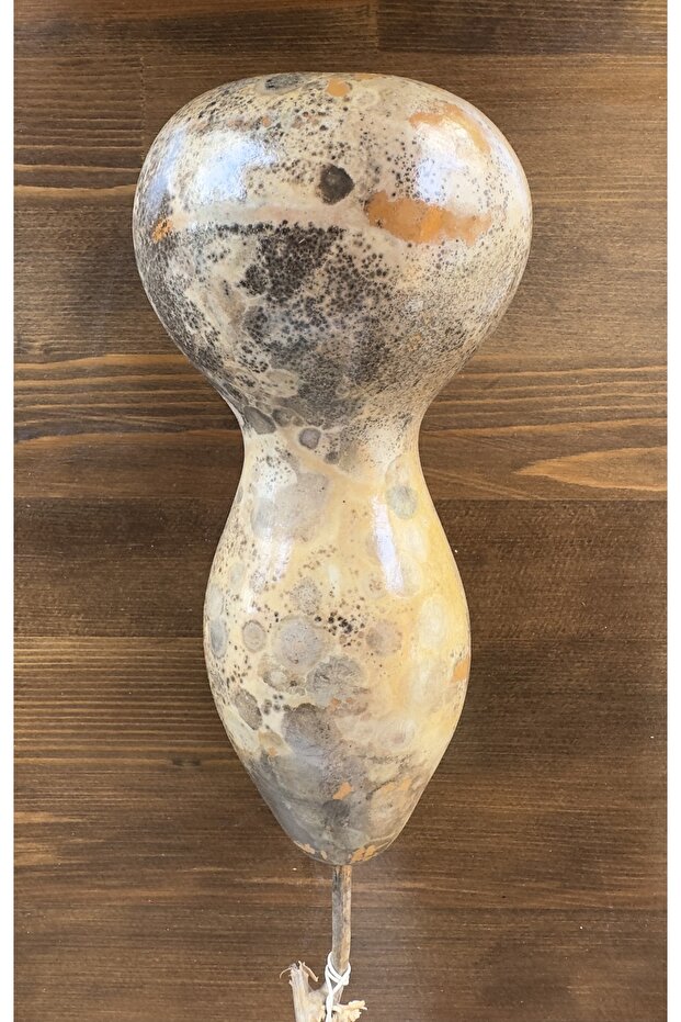 Hareli Su Kabağı - 1