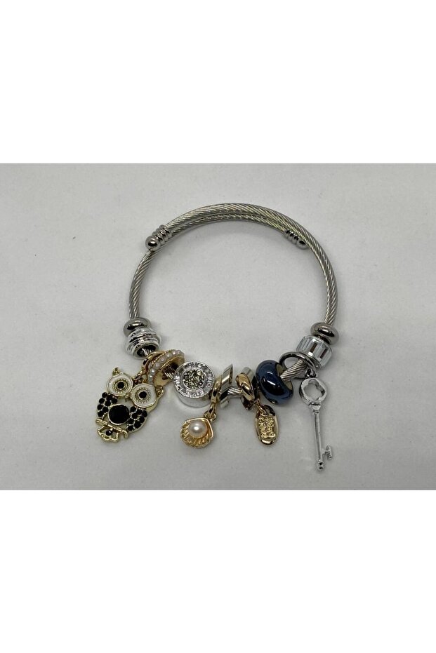 Steel Bracelet Owl Figured Charm Bracelet