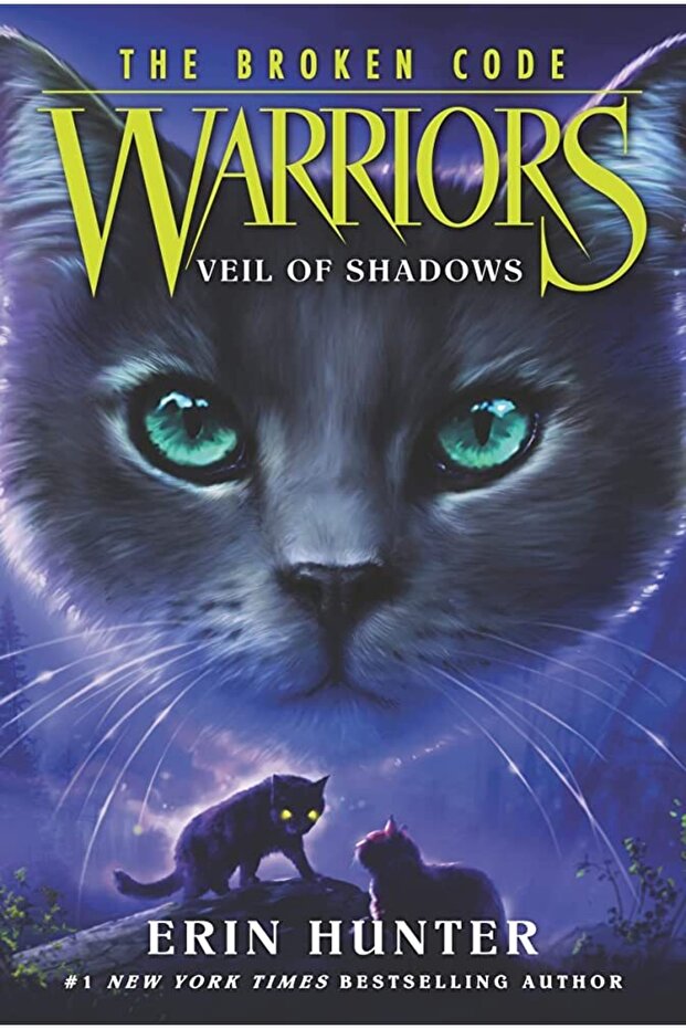 Veil Of Shadows - Warriors. The Broken Code