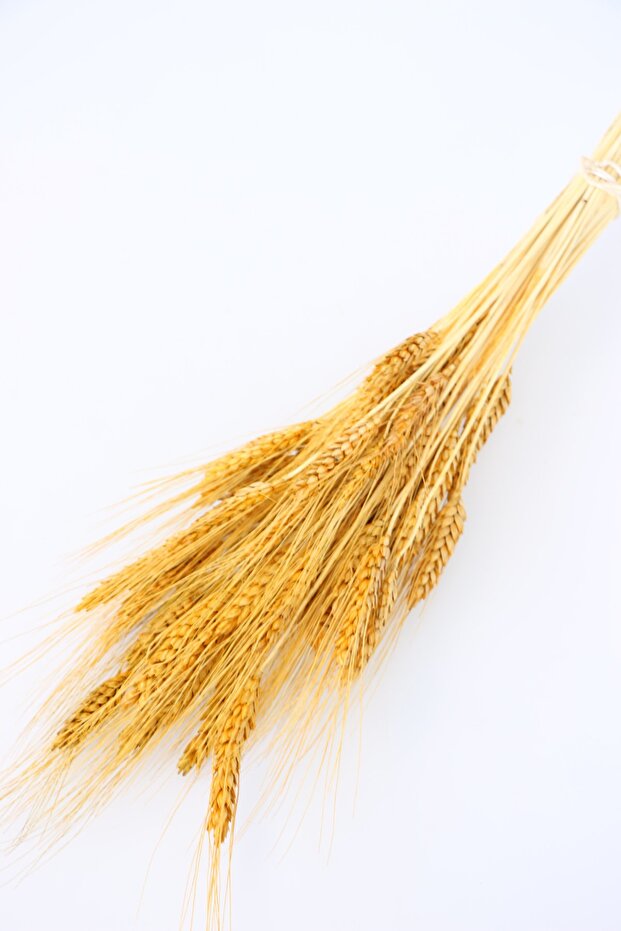 Kuru Başak Demeti Mustard Yellow Yellow