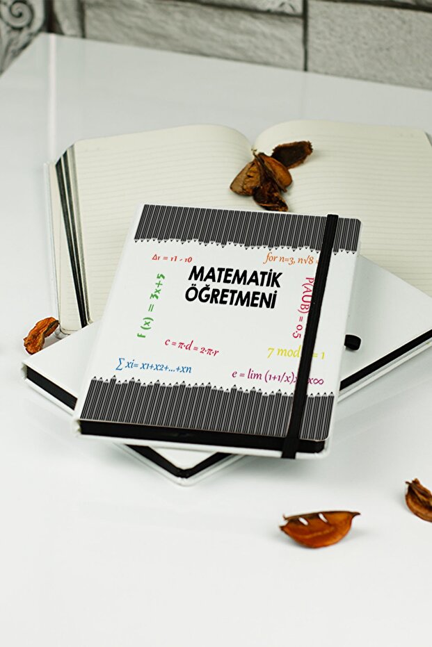 Math Teacher Notebook - 1