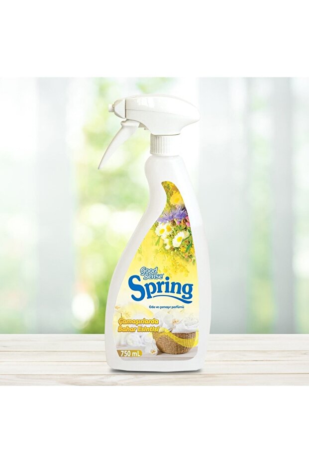 Good Sense Spring - 1