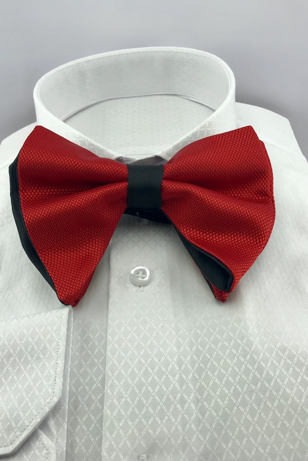 Red Patterned Large Pointed Toe Bow Tie 203