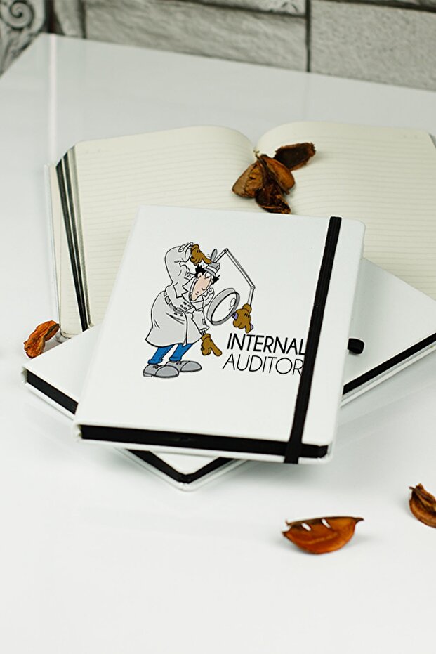 Internal Auditor Notebook - 1