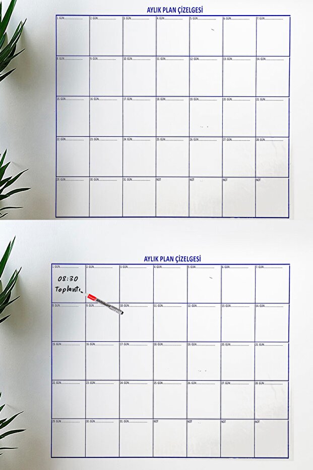 Sticker Aylık Planlayıcı Takvim (110 x 100 cm) - 2