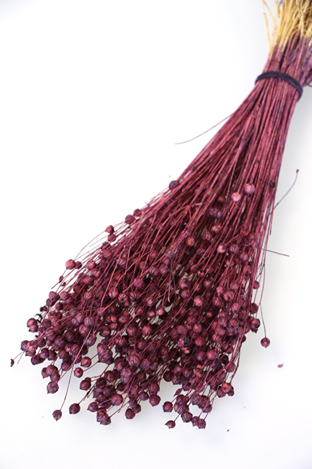 Dried Flower Luna (flax) Herb 60gr Plum-brown