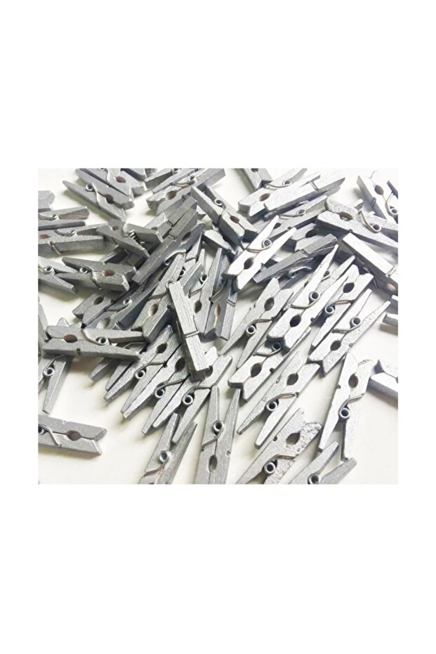 50 Pieces Mini Silver Pegs