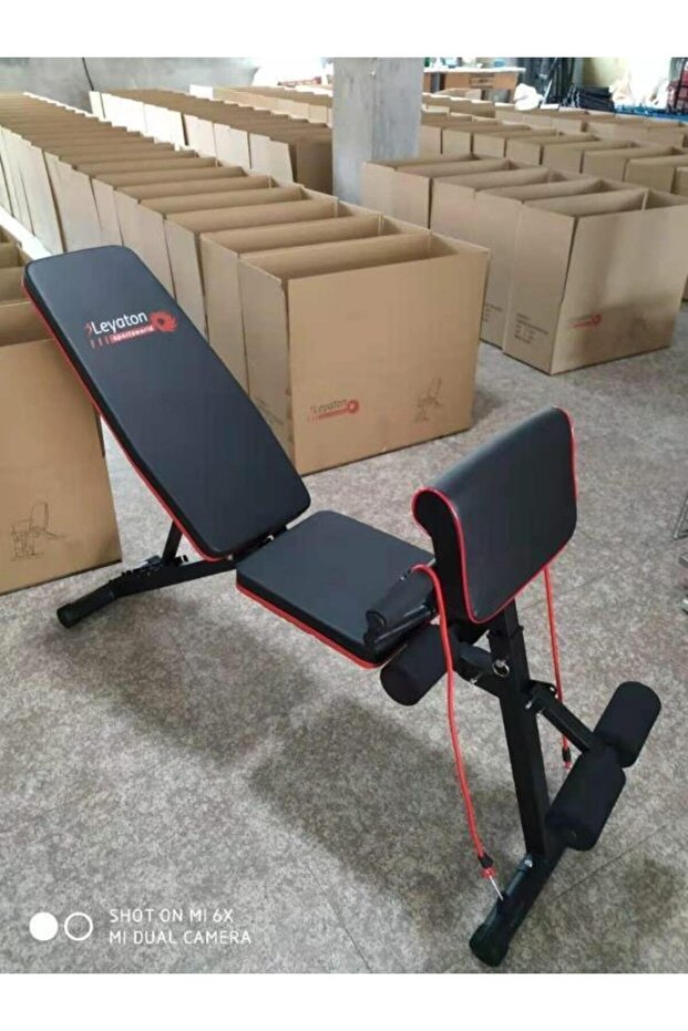 Multiposition & Biceps Combo Bench - Sehpa - 6