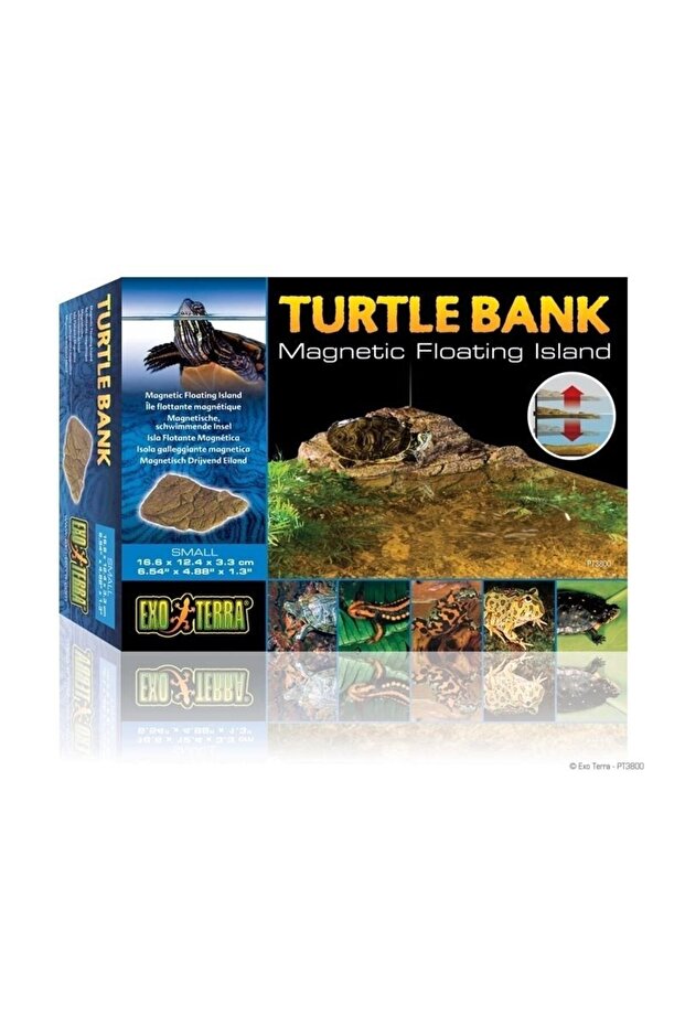 Turtle Bank S PT3800 - 1