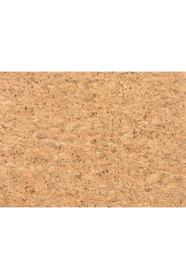 Note 101 Mantar Pano 30x40 Cm - 4
