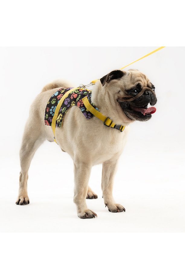 Kaçış Önleyici Ayarlanabilir Küçük Irk Köpek Göğüs Tasma Seti Ve Gezdirme Ipi - 1