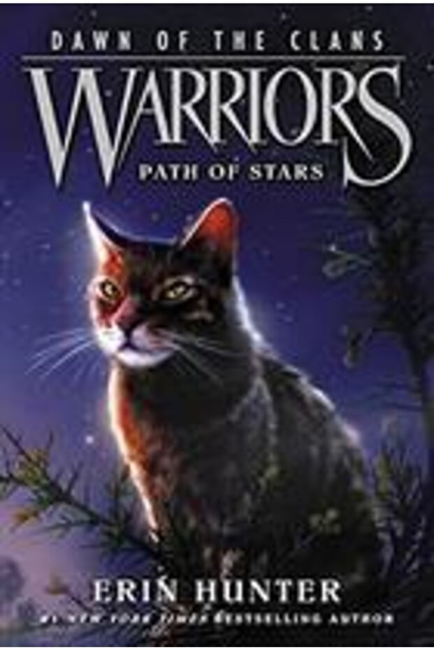 Path Of Stars - Warriors. Dawn Of The Clans