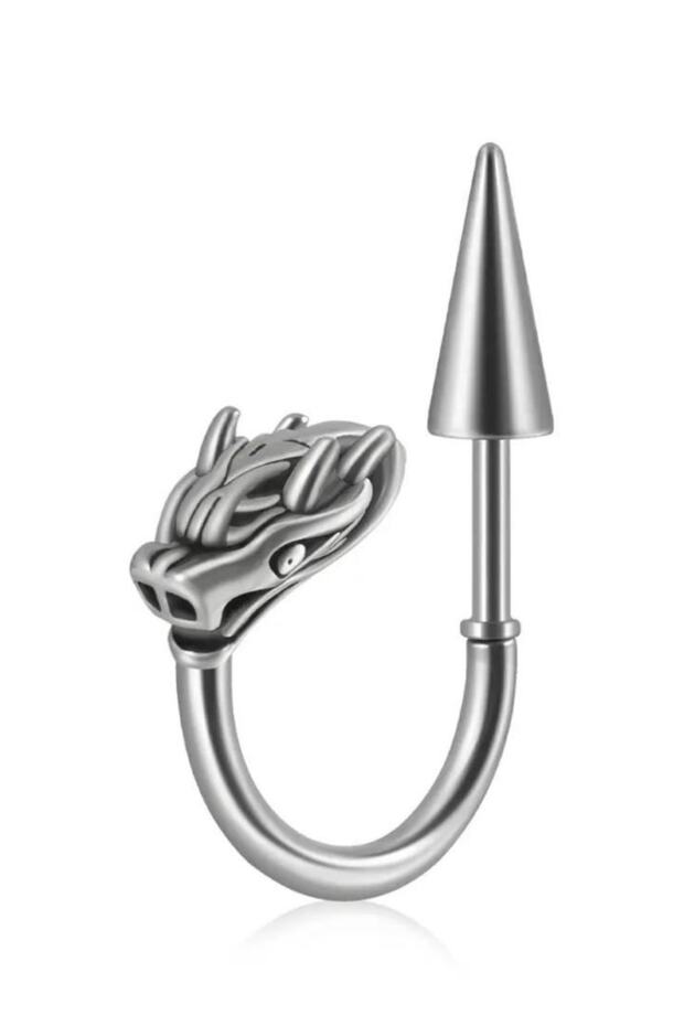 Unisex Gray Dragon Figured Spayk Design Steel Earrings