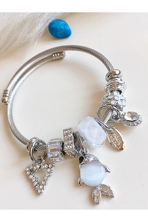 Fish Cahrm Steel Bracelet Model