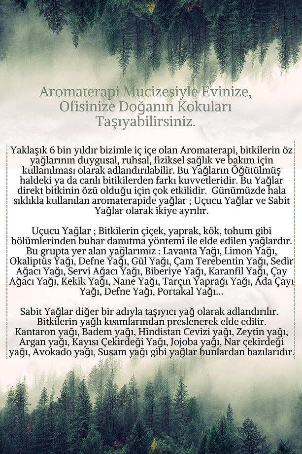 Nefes Seti %100 Saf - Bitkisel Aromaterapi Okaliptus Yağı,saf Biberiye Yağı,saf Nane Yağı - 3