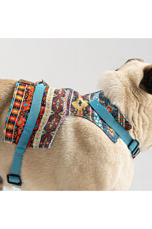 Kaçış Önleyici Ayarlanabilir Küçük Irk Köpek Göğüs Tasma Seti ve Gezdirme İpi - 1