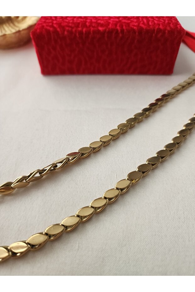 Pul Kolye Arpa zincir Çelik Gold 316l - 2
