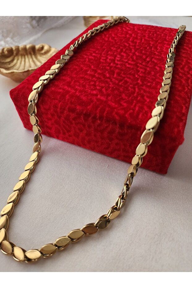 Pul Kolye Arpa zincir Çelik Gold 316l - 4